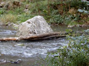 image081